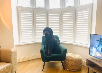 Cafe style window shutters supplied and fitted in Newcastle upon Tyne and across the North East by Signature Window Shutters.
